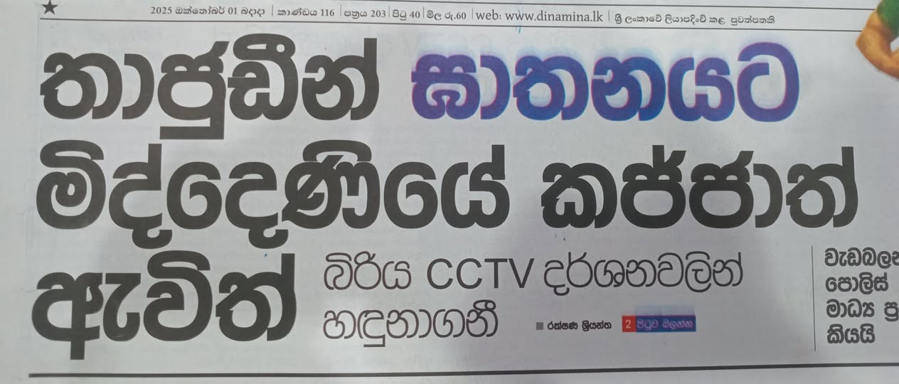 556343565 10239117342533625 2253006035391337305 n