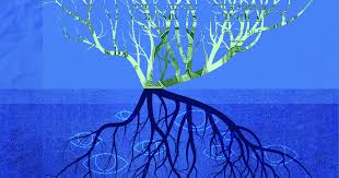 images 34