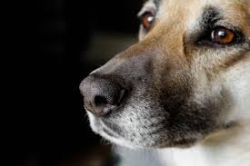 images 36