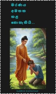 මරනි