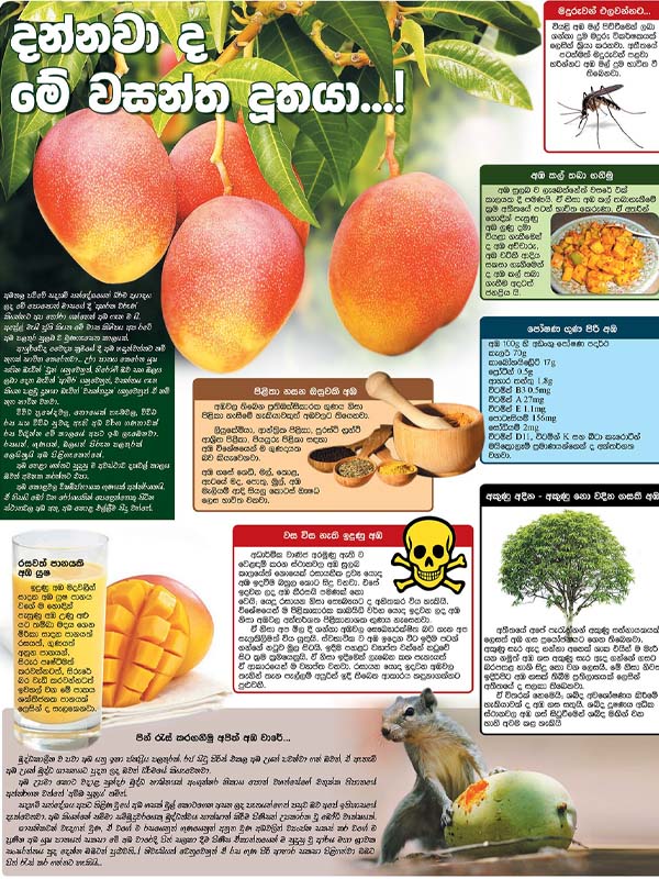 වස විස 600 800