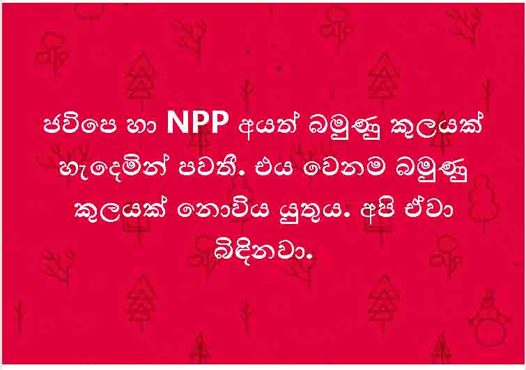 NPP 2