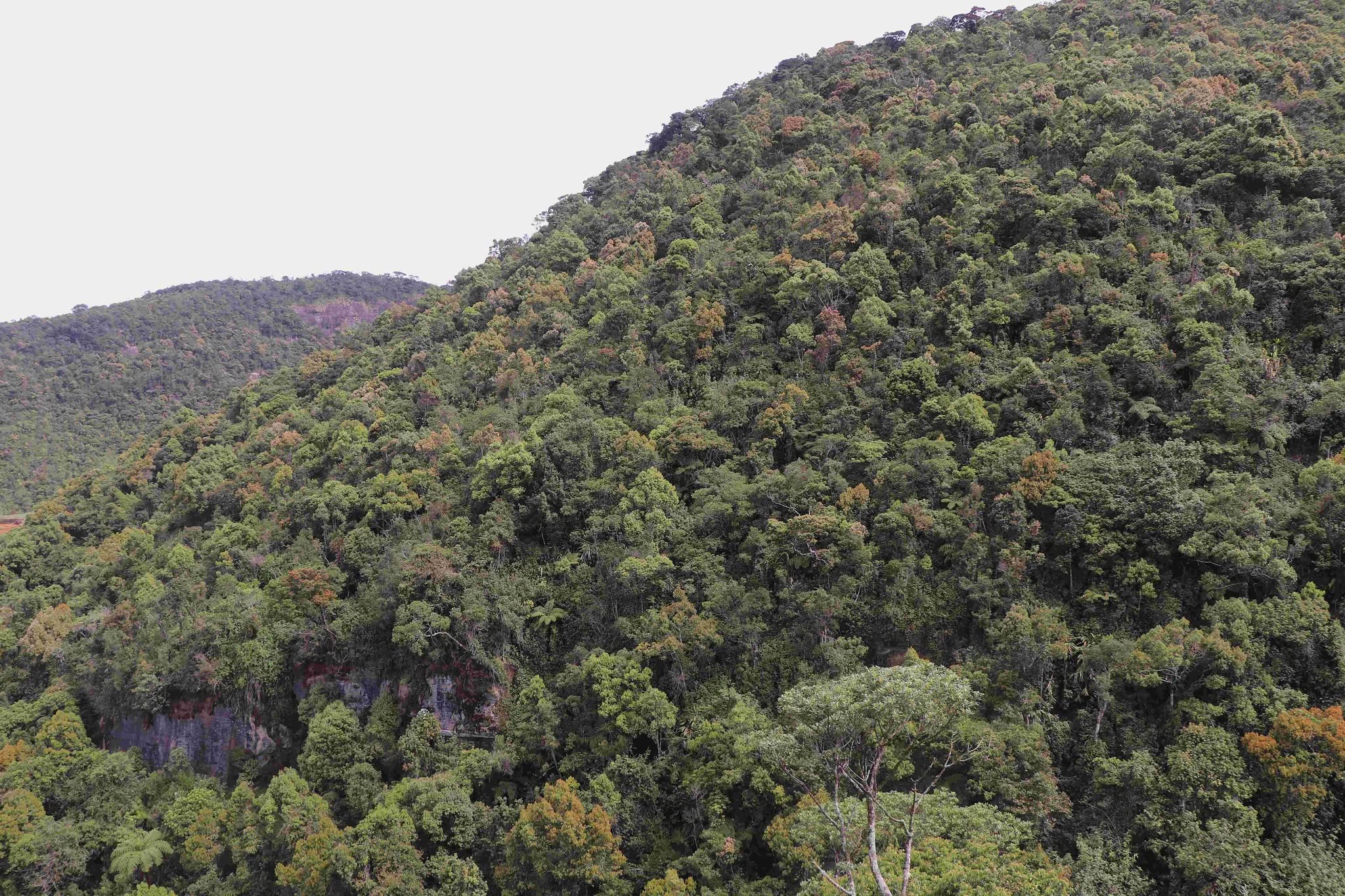 horton_5.jpeg