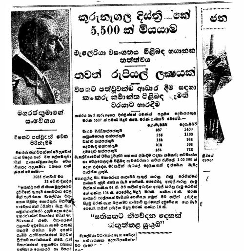 මැලේරියා 2
